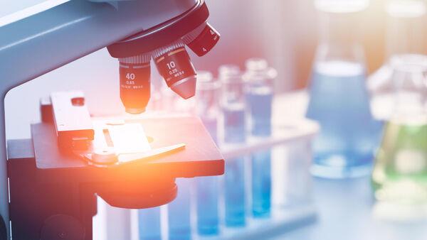 Immunotherapy bowel cancer drug works for 100% of patients – researchers
